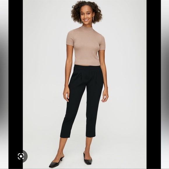 Babaton Cohen pant - Picture 3 of 4